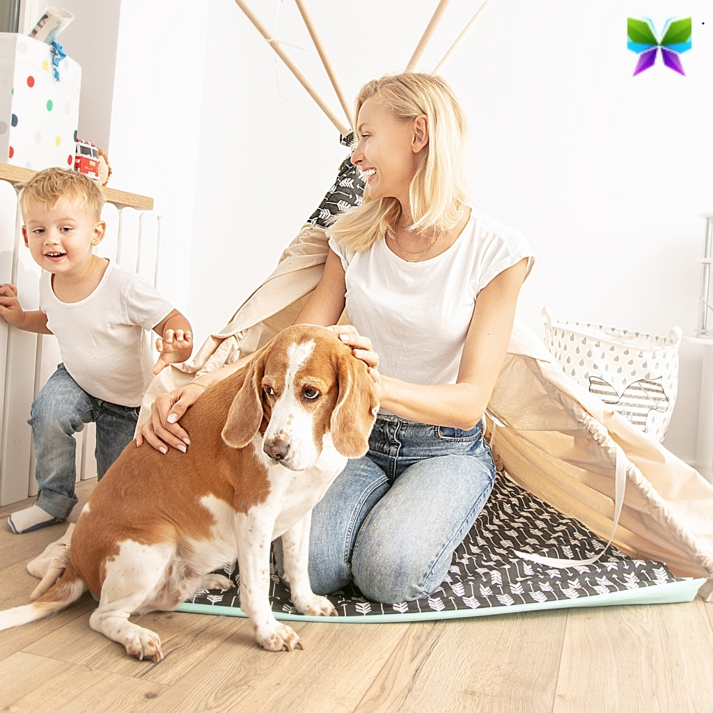 200+ Dog Mom Captions For Instagram to Celebrate Your Furry Friend 11 Dog Mom Captions For Instagram