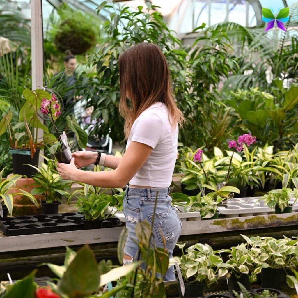 200+ Gardening Captions For Instagram to Inspire Your Green Thumb 10 Gardening Captions For Instagram