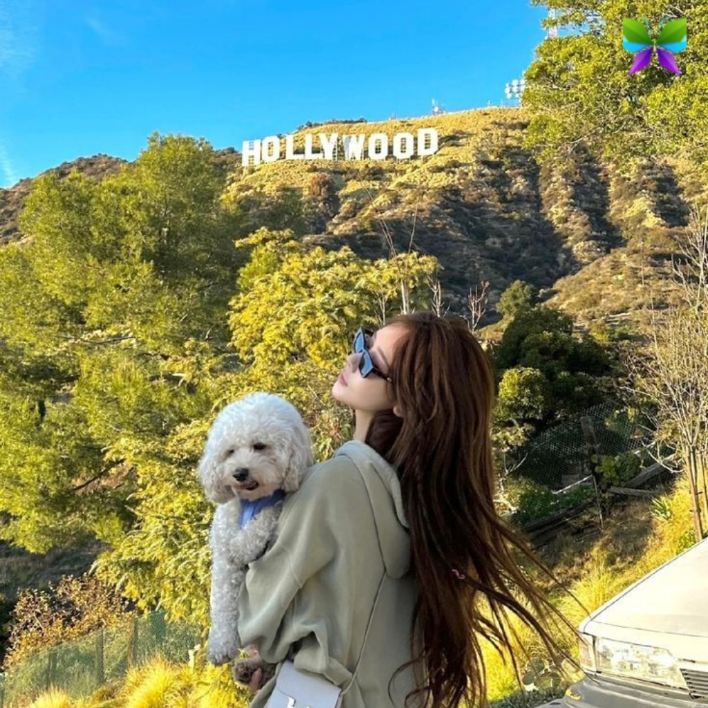 200+ Hollywood Sign Instagram Captions for Your Perfect Los Angeles Post 4 Hollywood Sign Instagram Captions