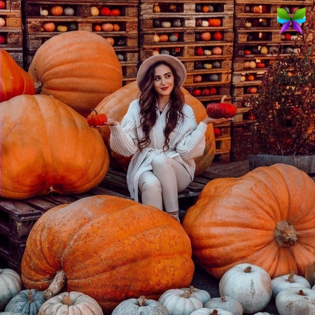 200+ Instagram Captions For Halloween to Spook and Shine 4 Instagram Captions For Halloween