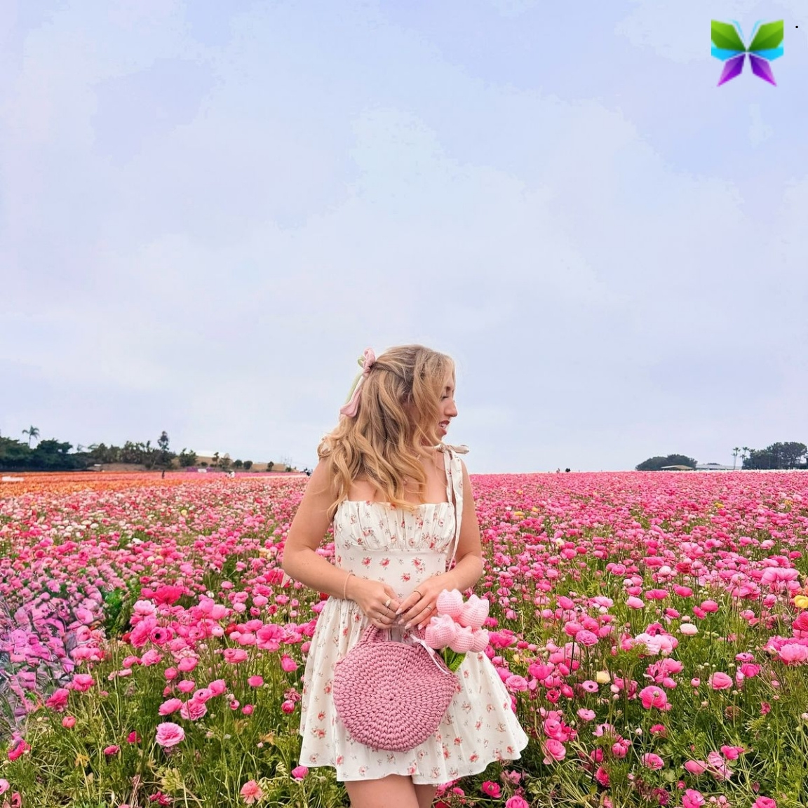 Instagram Captions For Spring