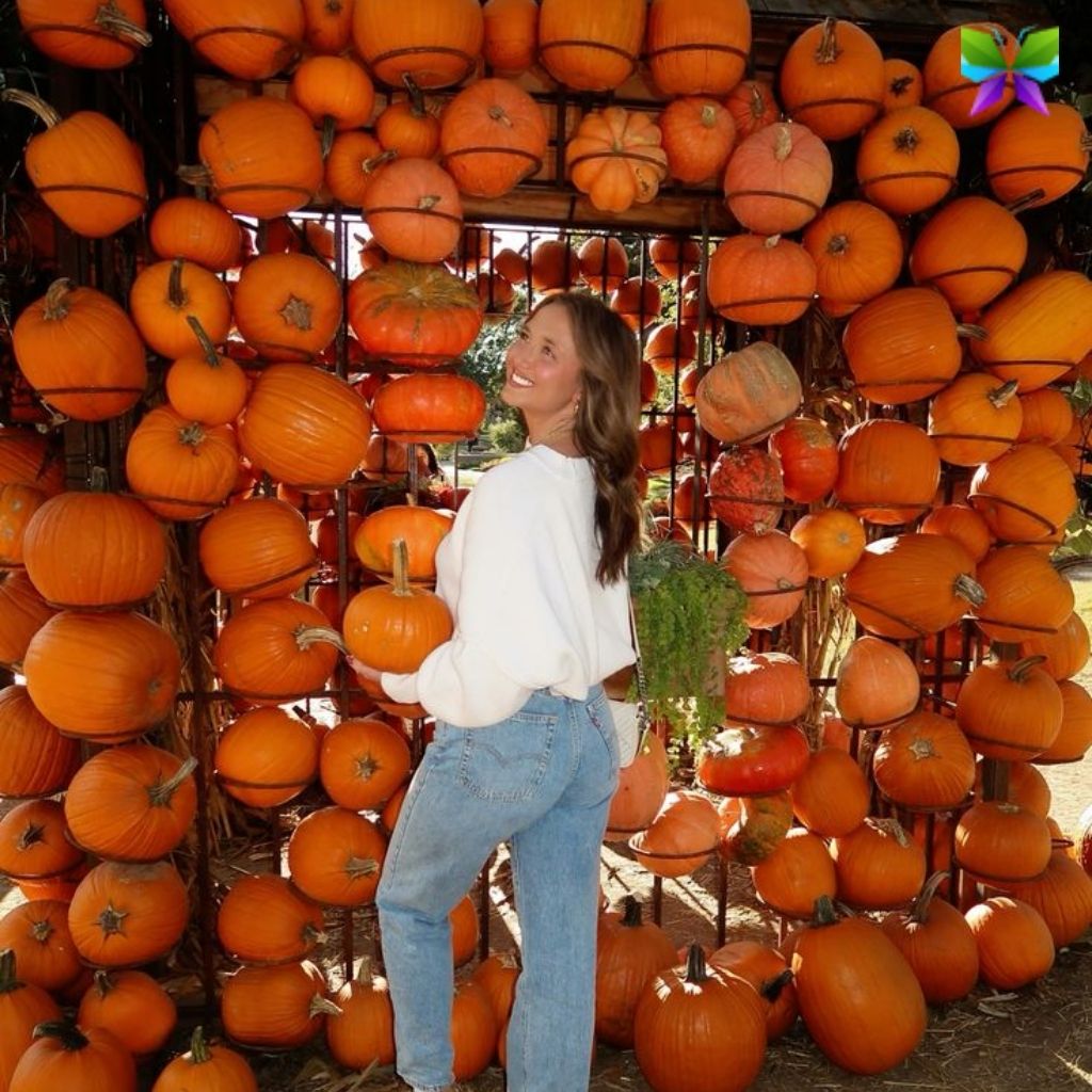 200+ Pumpkin Patch Instagram Captions for Fall Fun and Autumn Vibes 5 Pumpkin Patch Instagram Captions 1