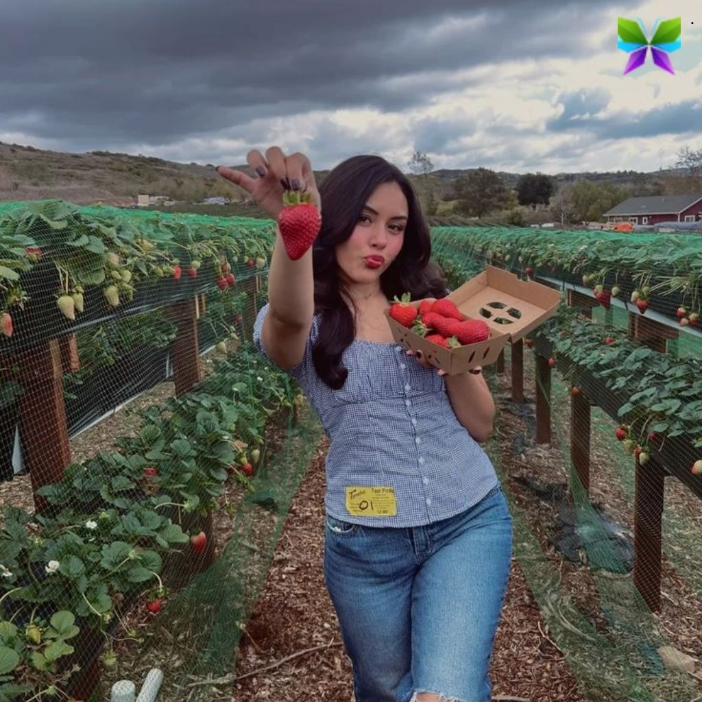 200+ Strawberry Captions For Instagram Perfect for Your Sweet Posts 9 Strawberry Captions For Instagram