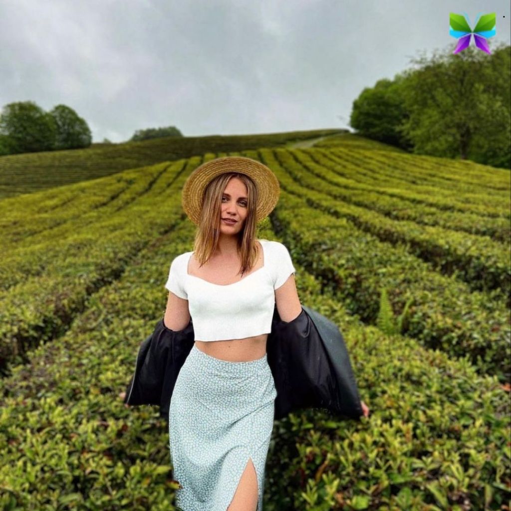 200+ Tea Garden Captions For Instagram Perfect for Your Nature Photos 2 Tea Garden Captions For Instagram
