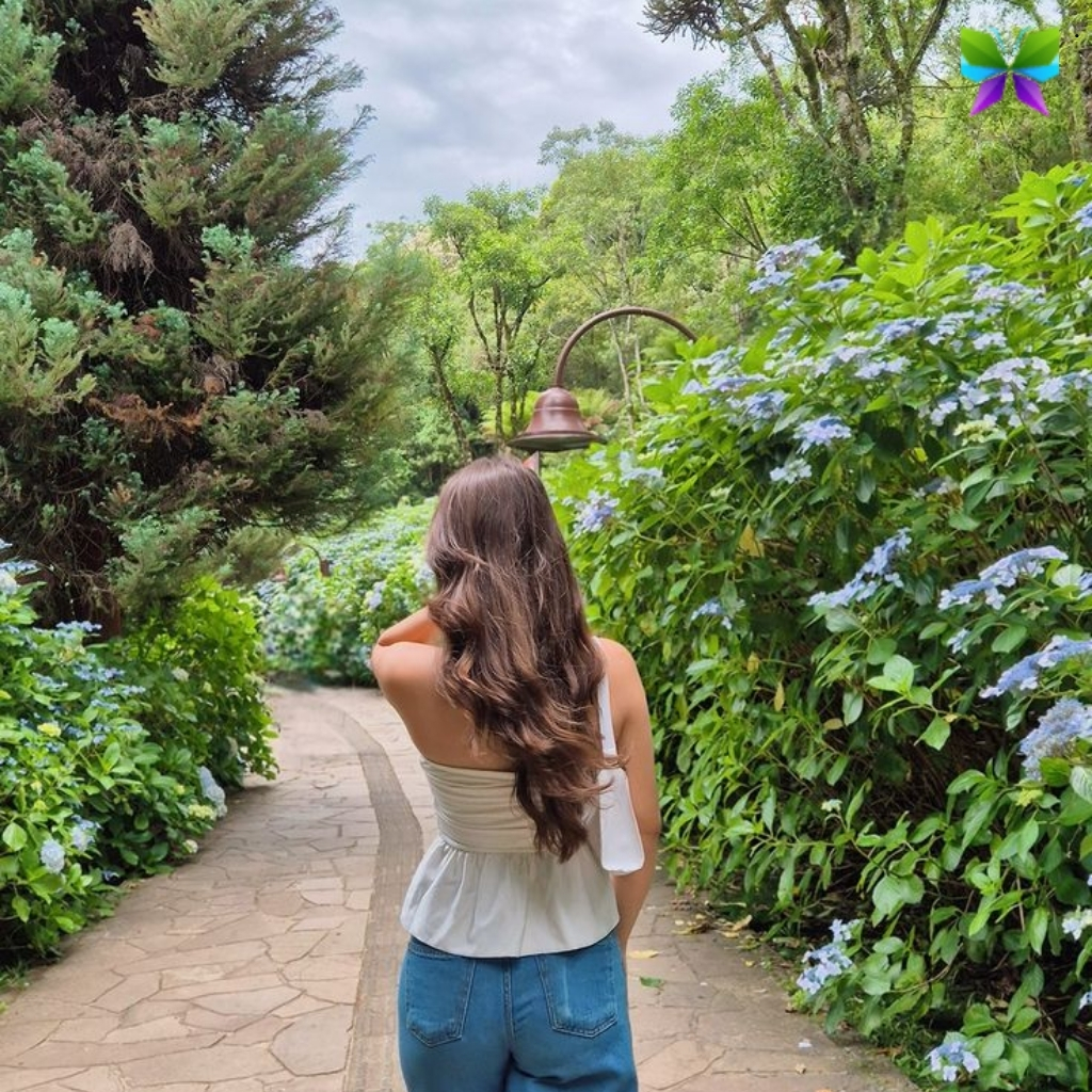 Walking Instagram Captions