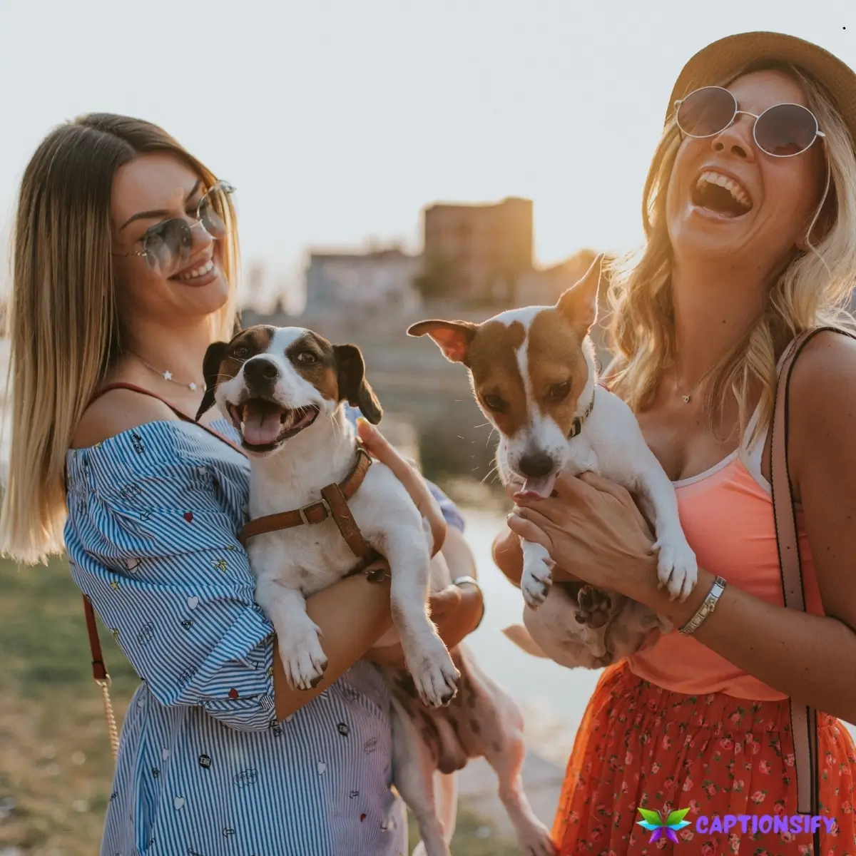 123 Best Dog Lover Captions For Instagram That Will Make You Smile and Wag