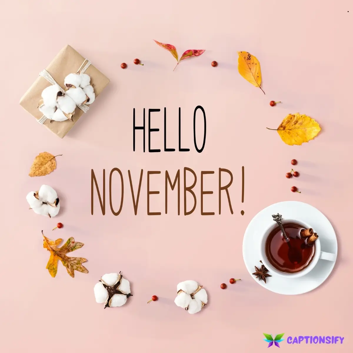123 Best November Captions For Instagram Perfect for Your Fall Posts