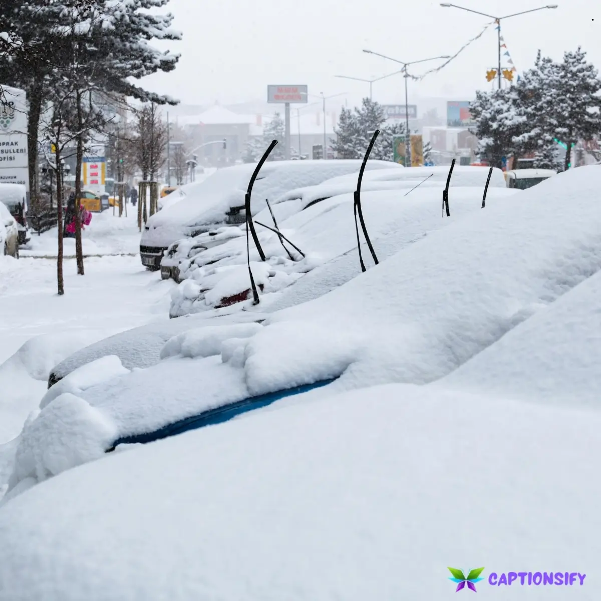 128 Best Instagram Captions For Snow That Capture the Magic of Winter Wonderland