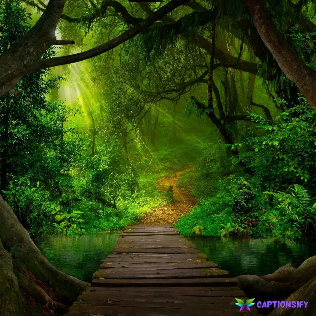 128 Best Jungle Instagram Captions to Bring Your Wild Adventures to Life