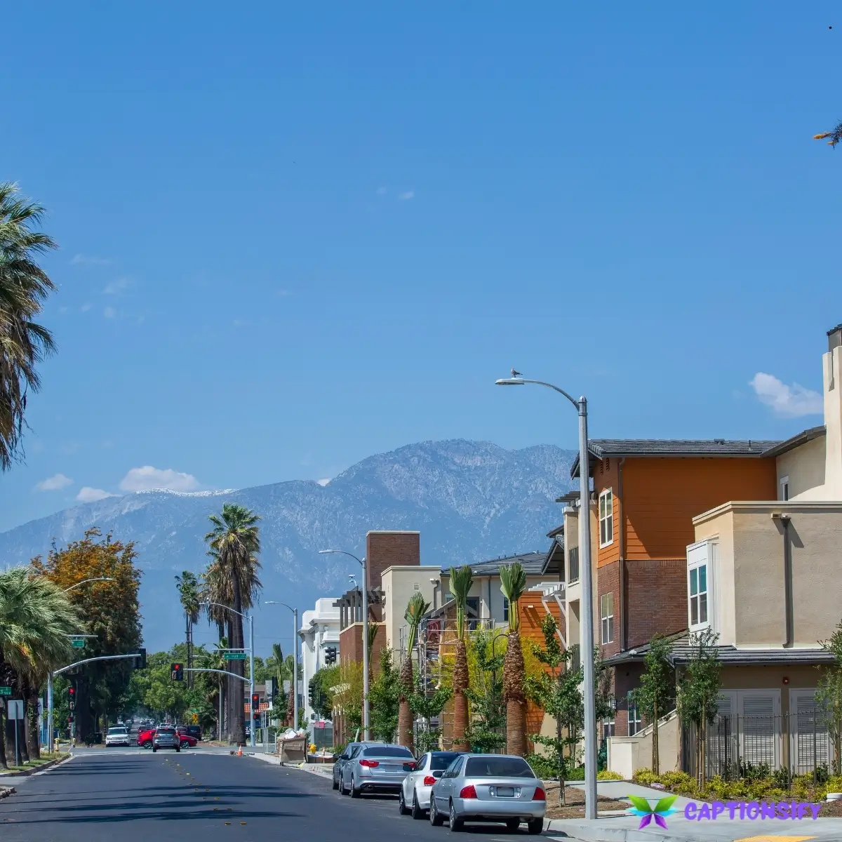 129 Best Instagram Captions For California That Capture the Golden State Vibes