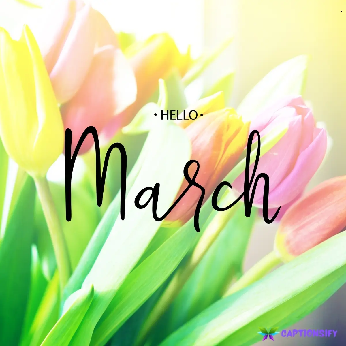 139 Best March Instagram Captions for Spring Vibes and Fun