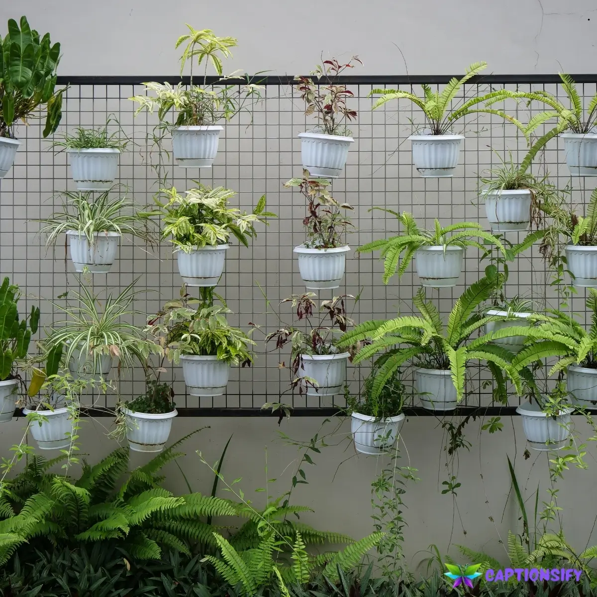 139 Top Plants Instagram Captions to Bring Your Greenery to Life with Style