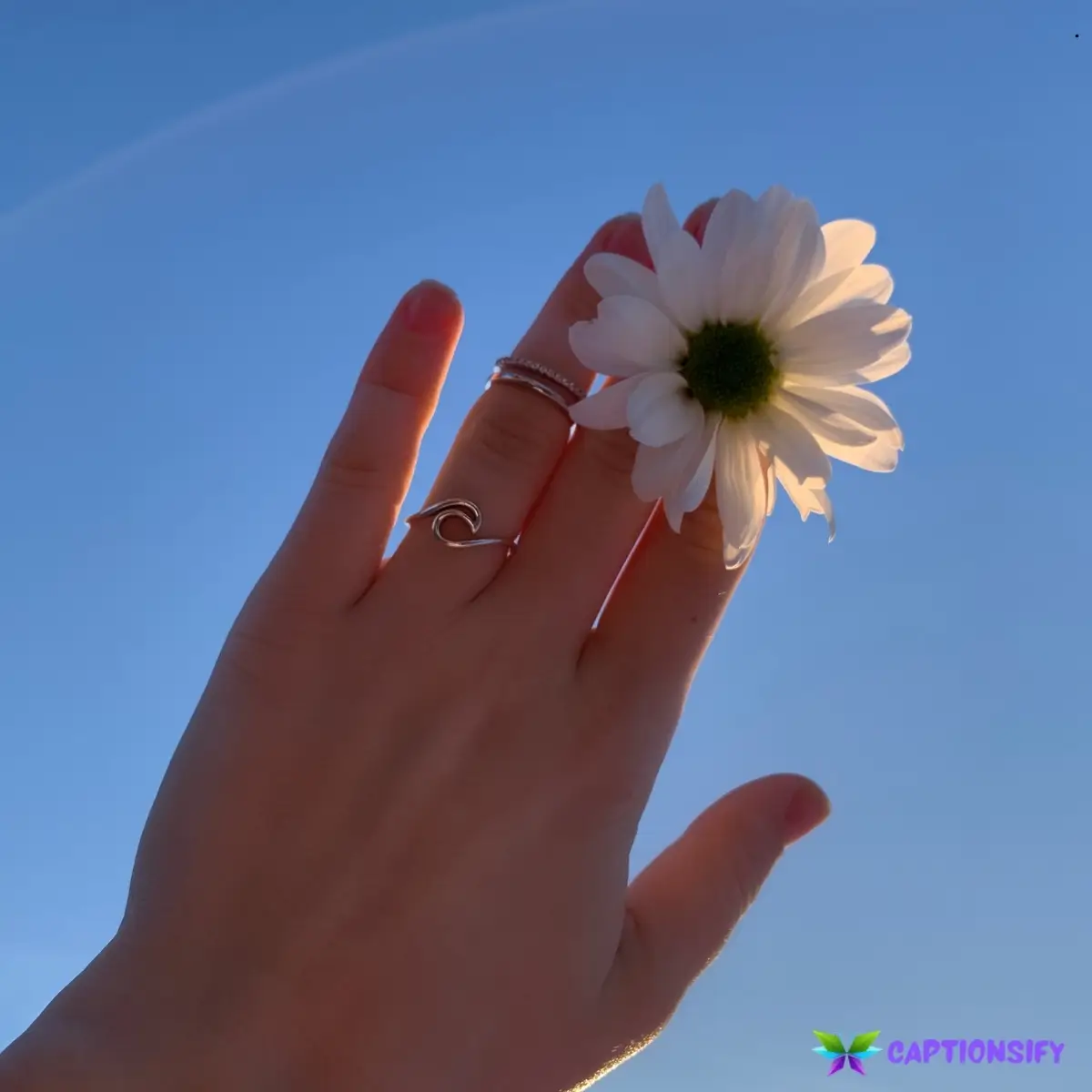 143 Top Instagram Captions Aesthetic for Perfectly Curated Visual Stories