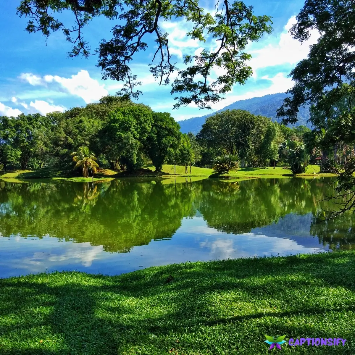 145 Top Nature Captions Instagram for Your Stunning Outdoor Adventures and Moments