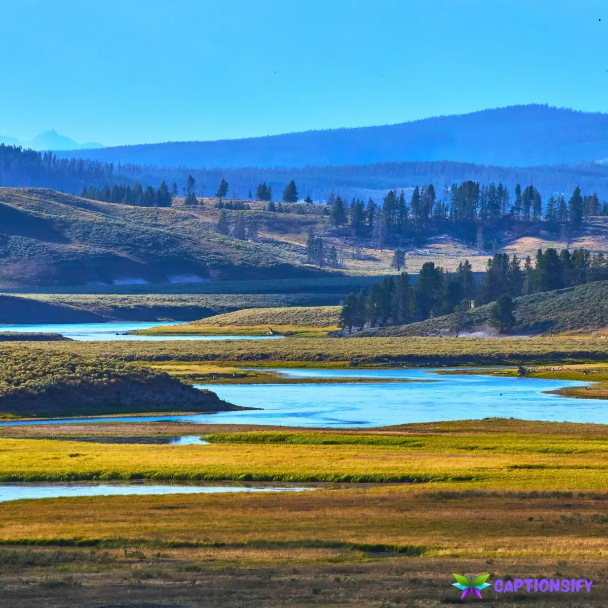 147 Top Wyoming Instagram Captions for Stunning Adventure and Scenic Moments