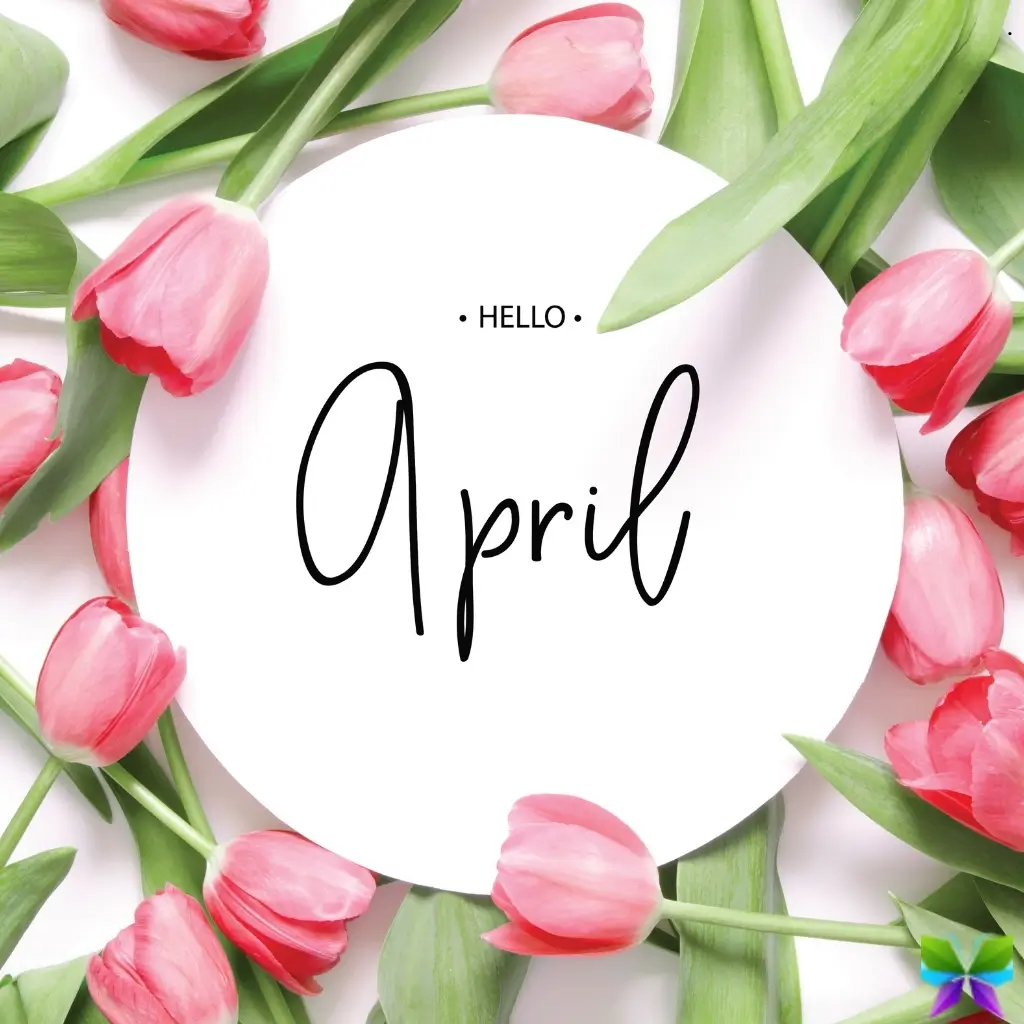 149+ April Captions For Instagram to Brighten Your Feed in 2026