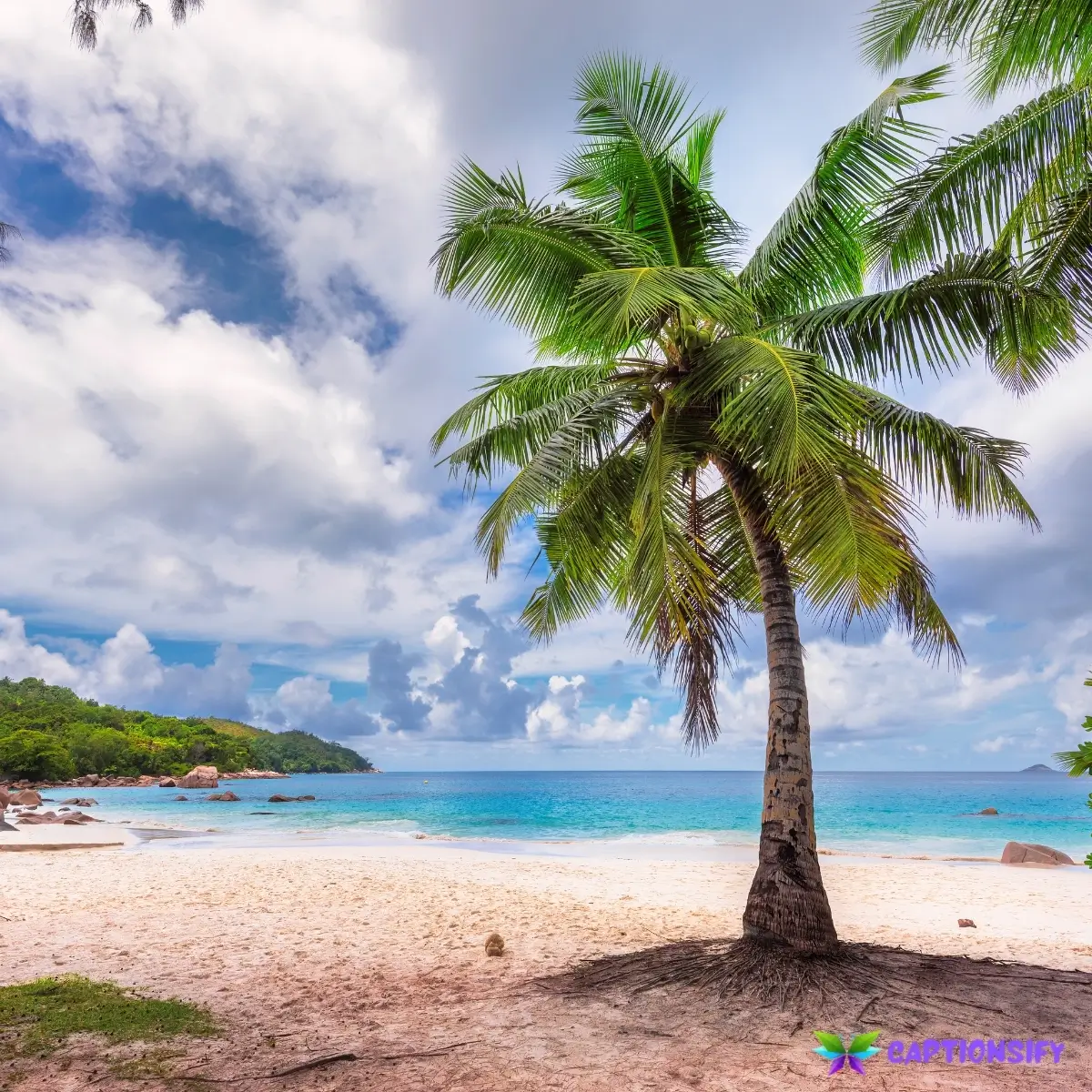 153 Best Summer Captions to Brighten Your Sunny Days and Share Your Vibes