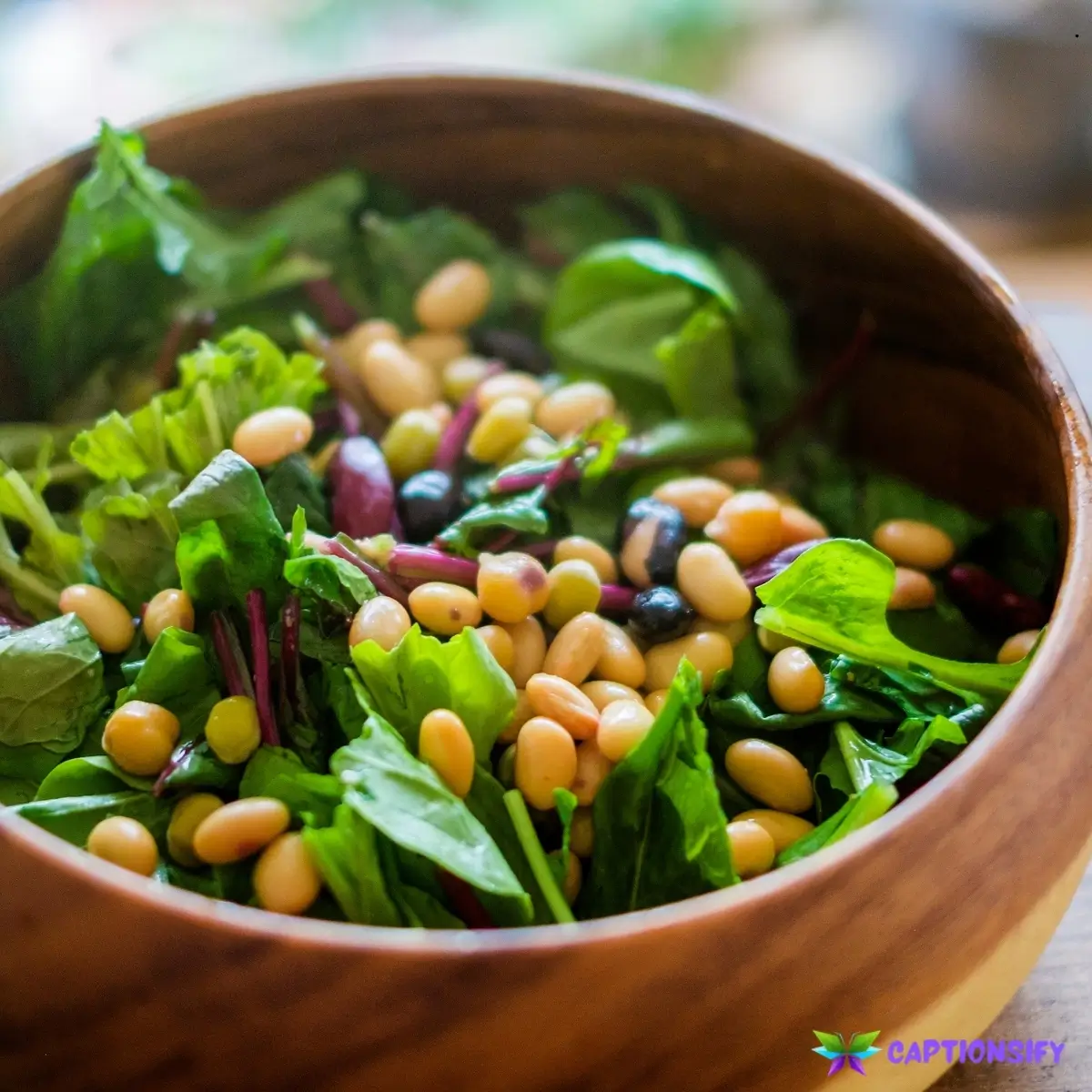 153 Fun and Creative Eat Your Beans Day Captions for Your Social Media Posts