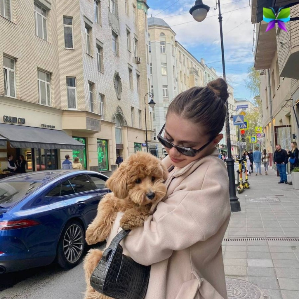 200+ Dog Lover Captions For Instagram That Will Make You Smile and Wag 18 Dog Lover Captions For Instagram