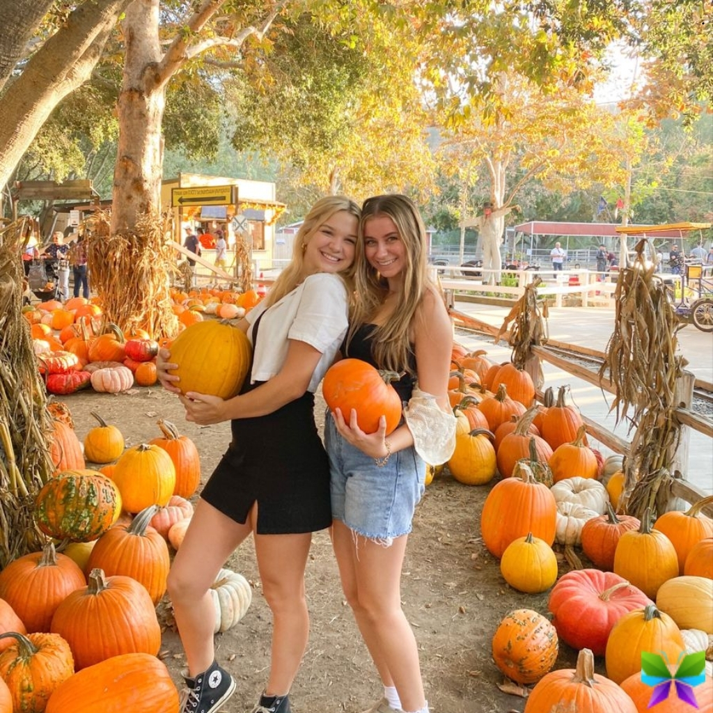 First Day Of Fall Instagram Captions