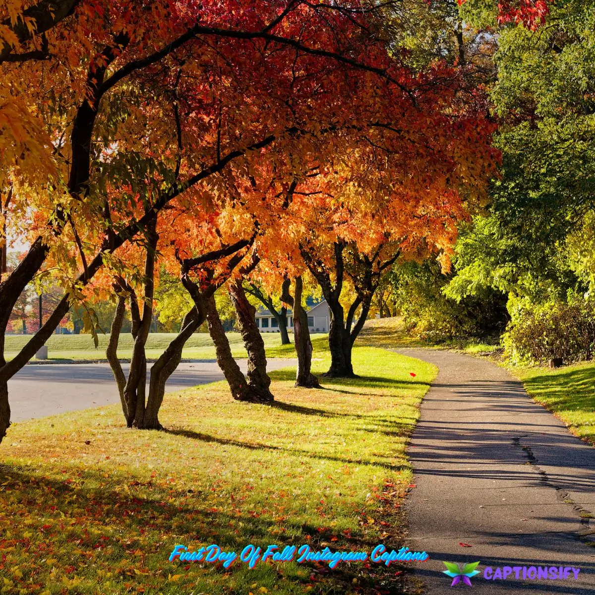 First Day Of Fall Instagram Captions