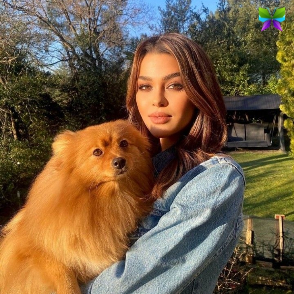 Funny Dog Captions Instagram