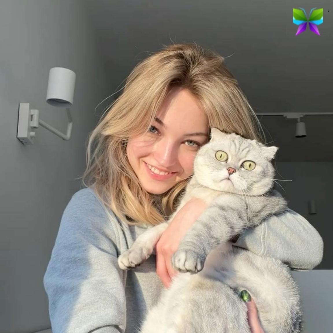 National Kitten Day Captions