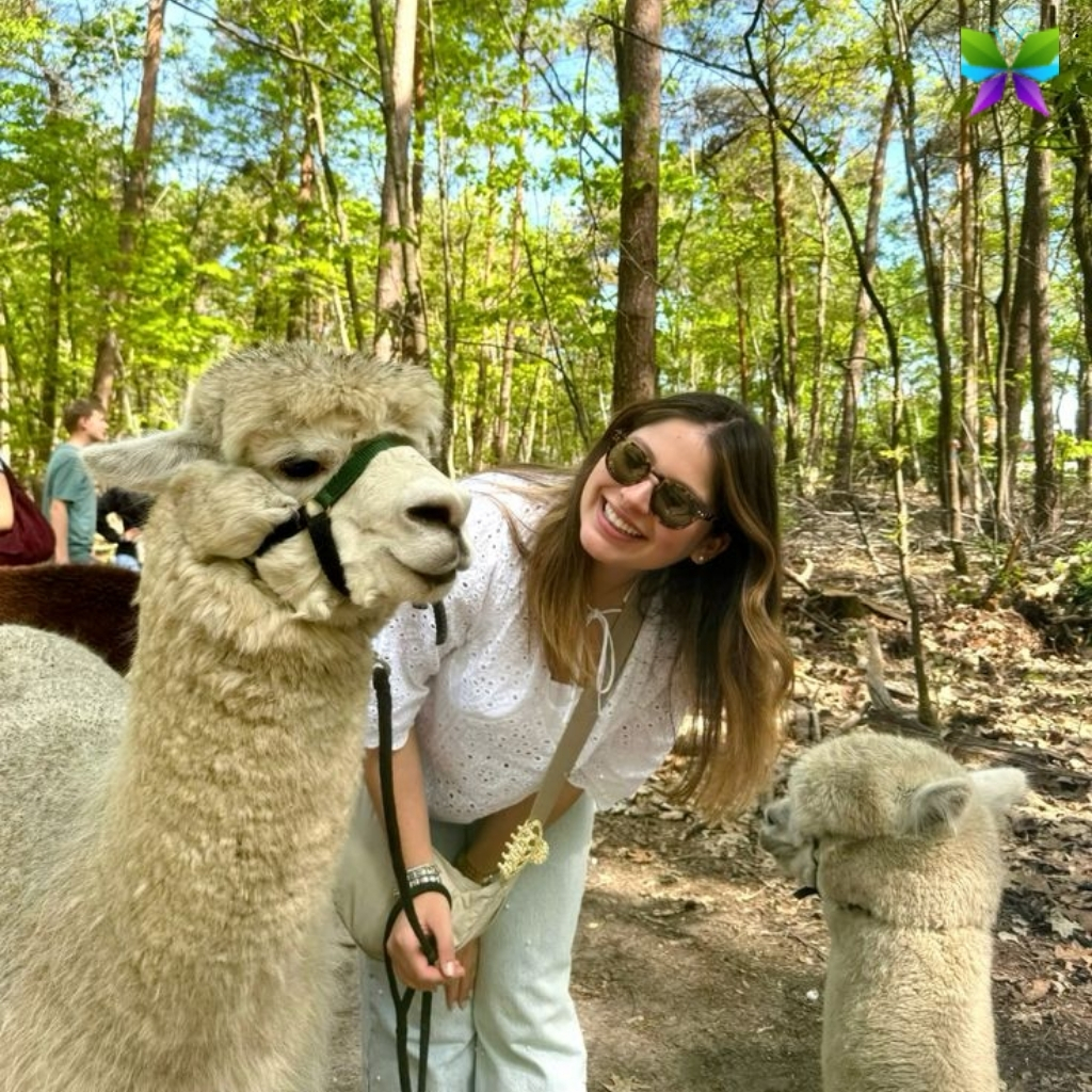 National Llama Day Captions National Llama Day Captions