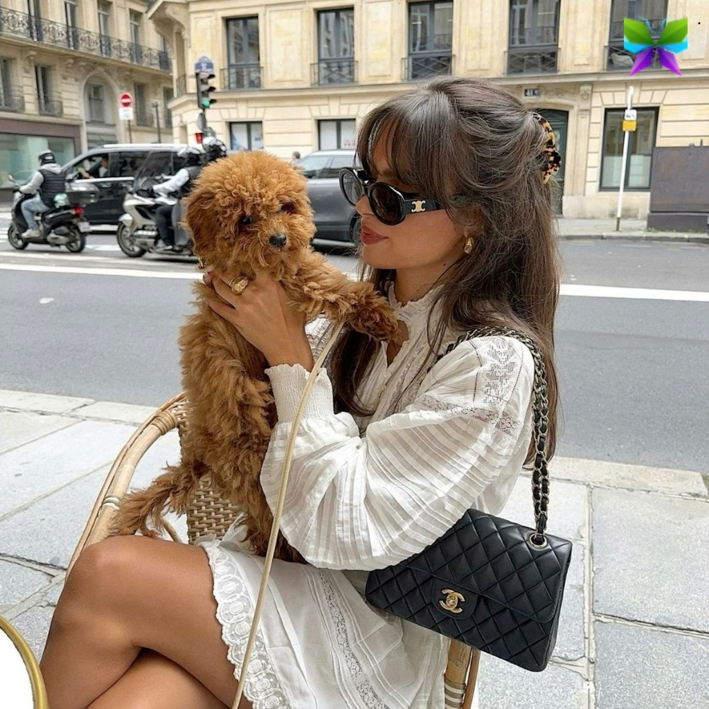 National Pet Day Captions