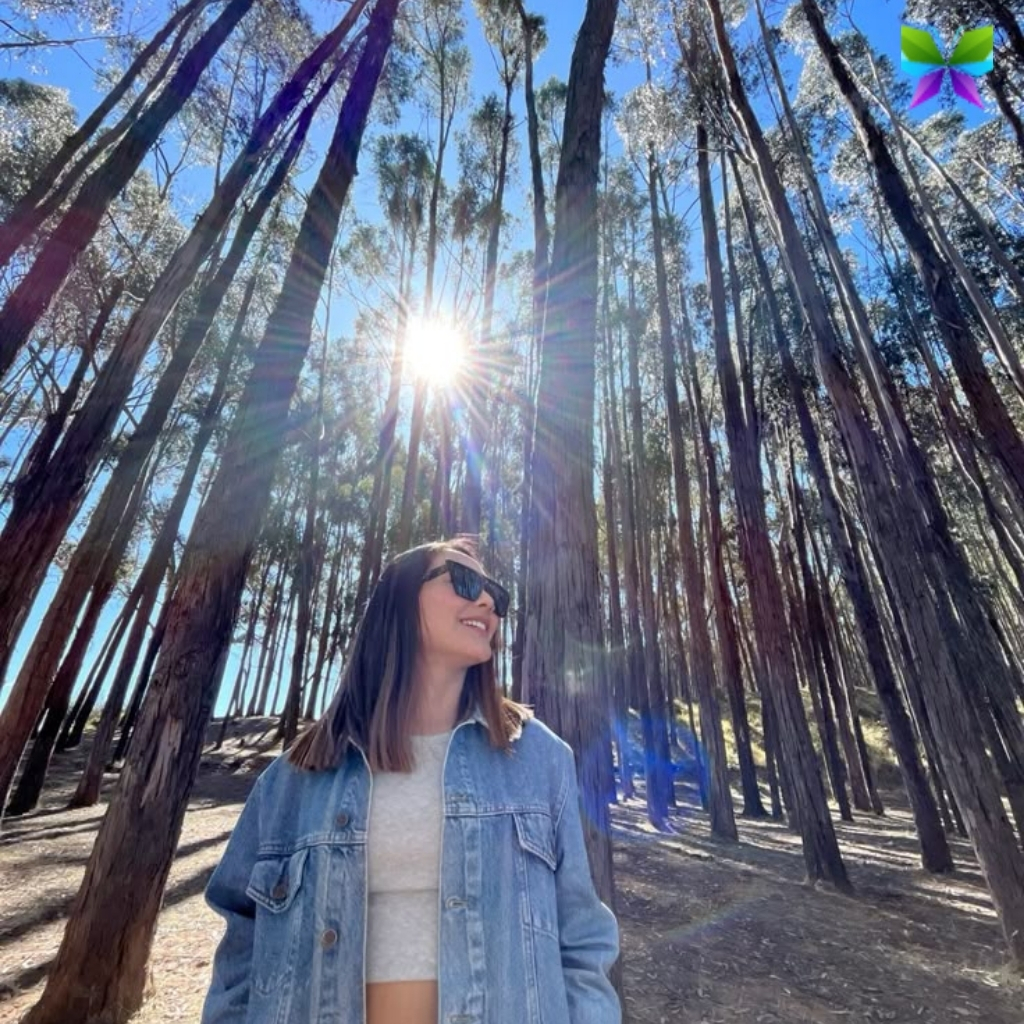 200+ Pine Tree Captions For Instagram That Bring Nature's Beauty to Life 17 Pine Tree Captions For Instagram