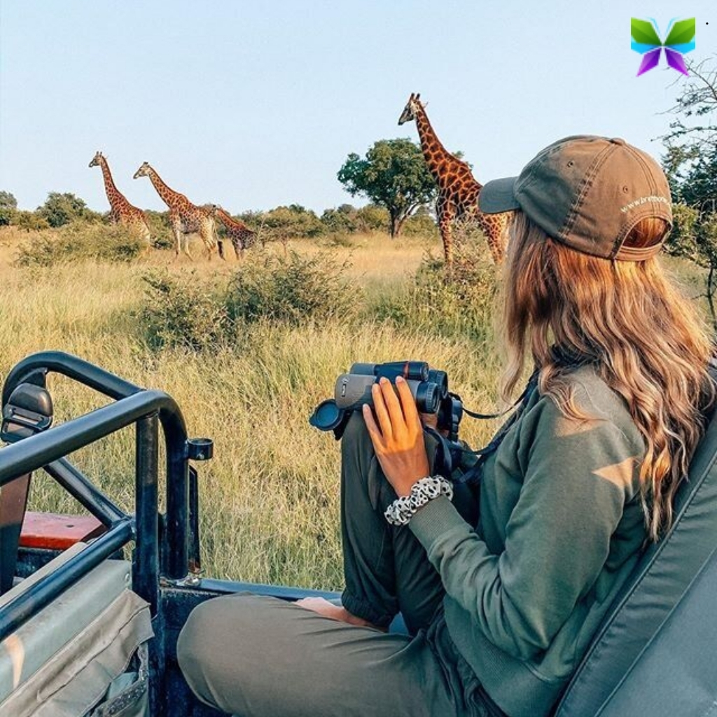200+ Safari Instagram Captions for Your Wild Adventures and Stunning Memories 9 Safari Instagram Captions