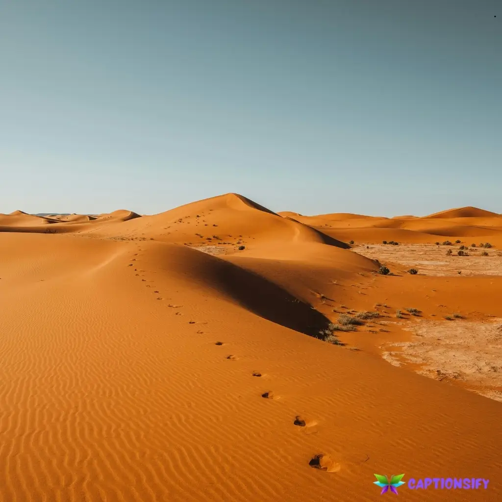 127 Best Desert Captions For Instagram That Capture the Essence of Arid Beauty