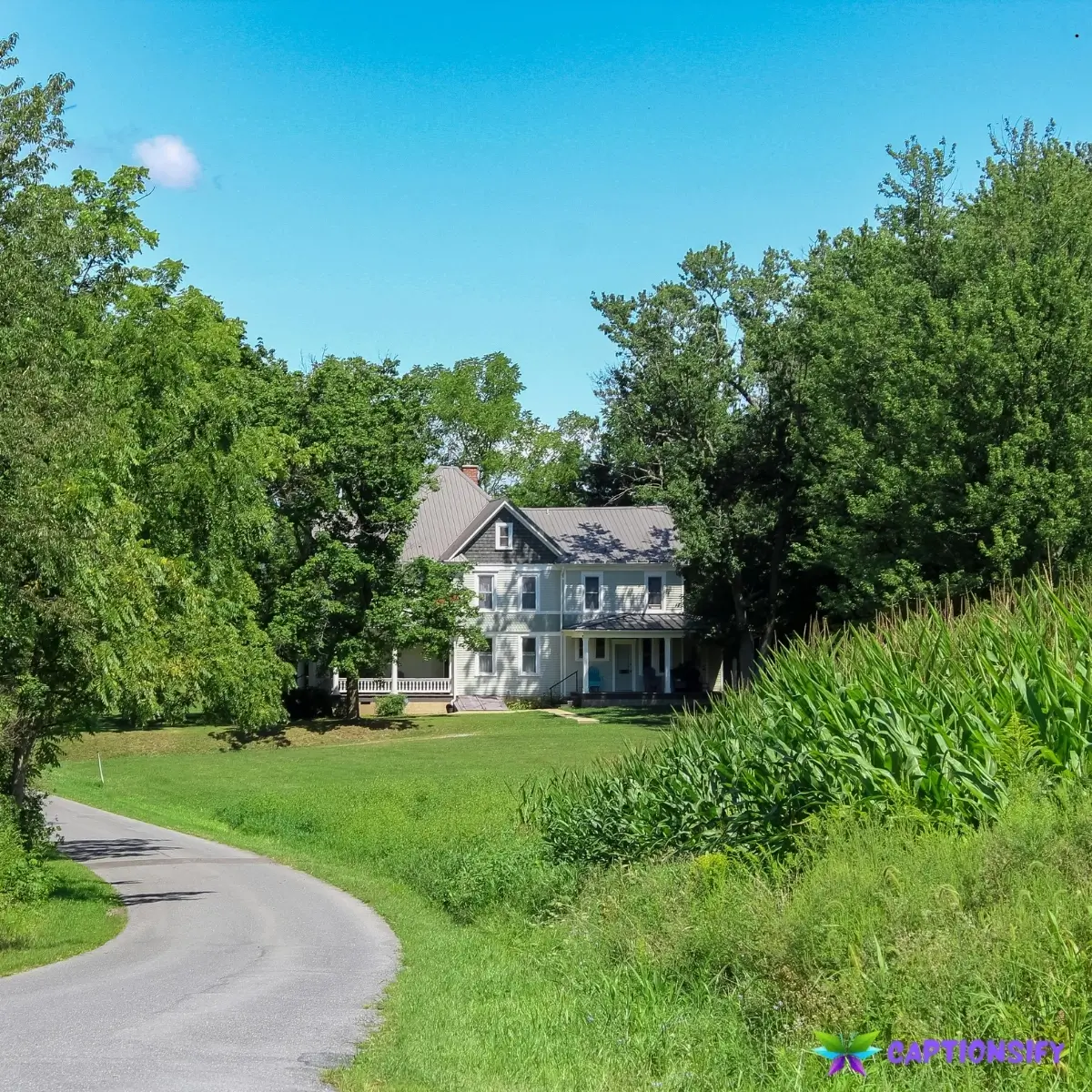 127 Top Country Insta Captions That Capture the Heart of Rural Life and Nature