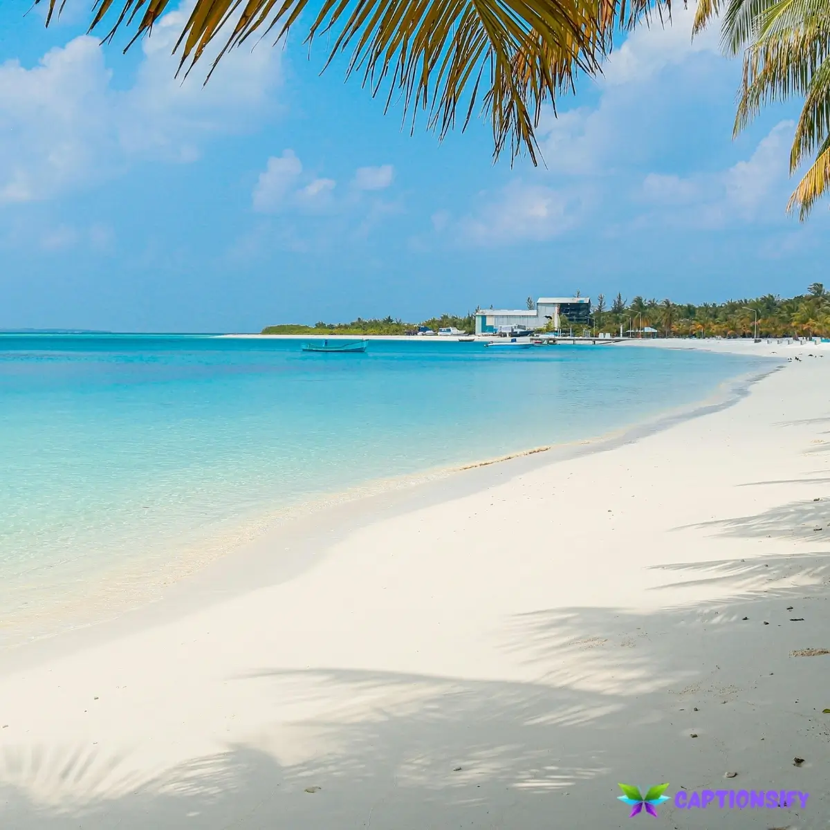 135 Top Beach Aesthetic Captions to Capture Your Sun Kissed Vibes and Memories