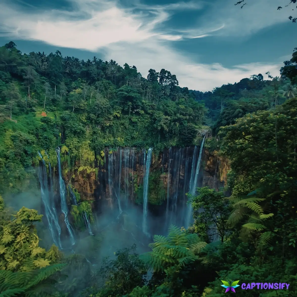 145 Best Nature Aesthetic Captions to Inspire Your Love for the Great Outdoors