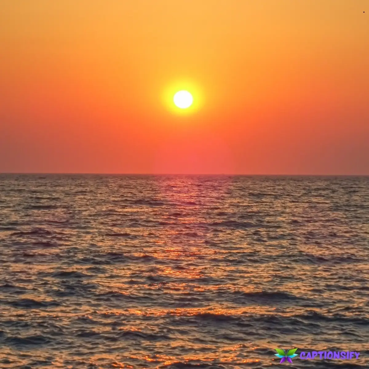 147 Best Sunset Aesthetic Captions to Brighten Your Social Media Vibes