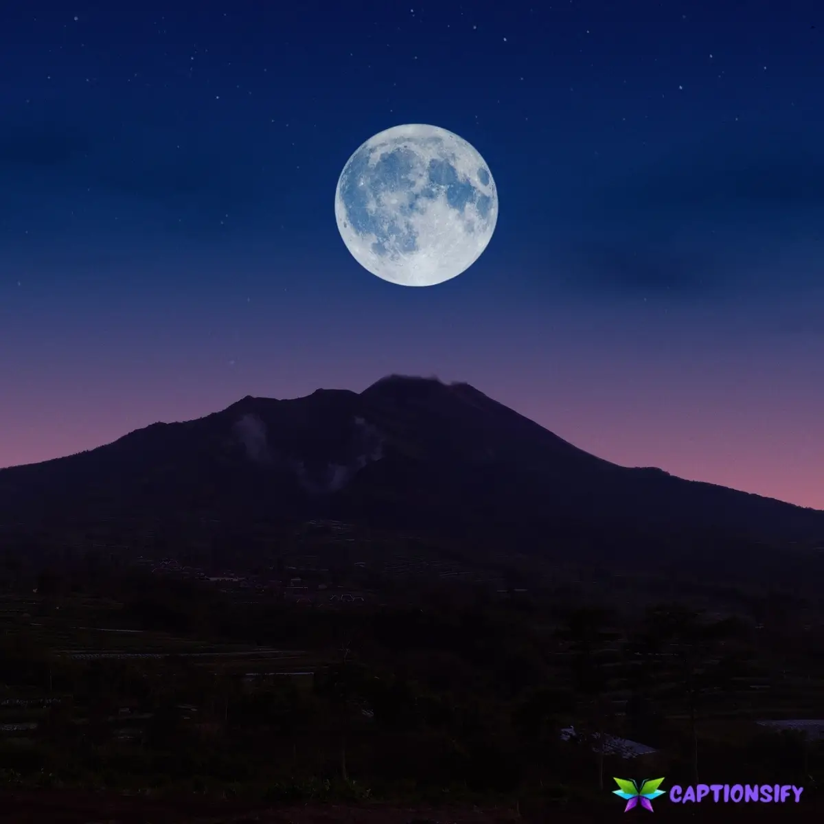 149 Top Moon Captions Instagram to Light Up Your Night Sky Moments