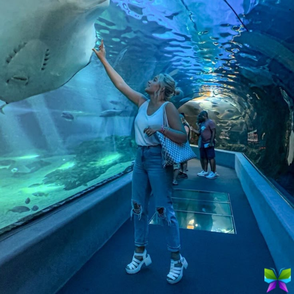 200+ Aquarium Captions Instagram for Your Underwater Adventure and Fun 1 Aquarium Captions Instagram