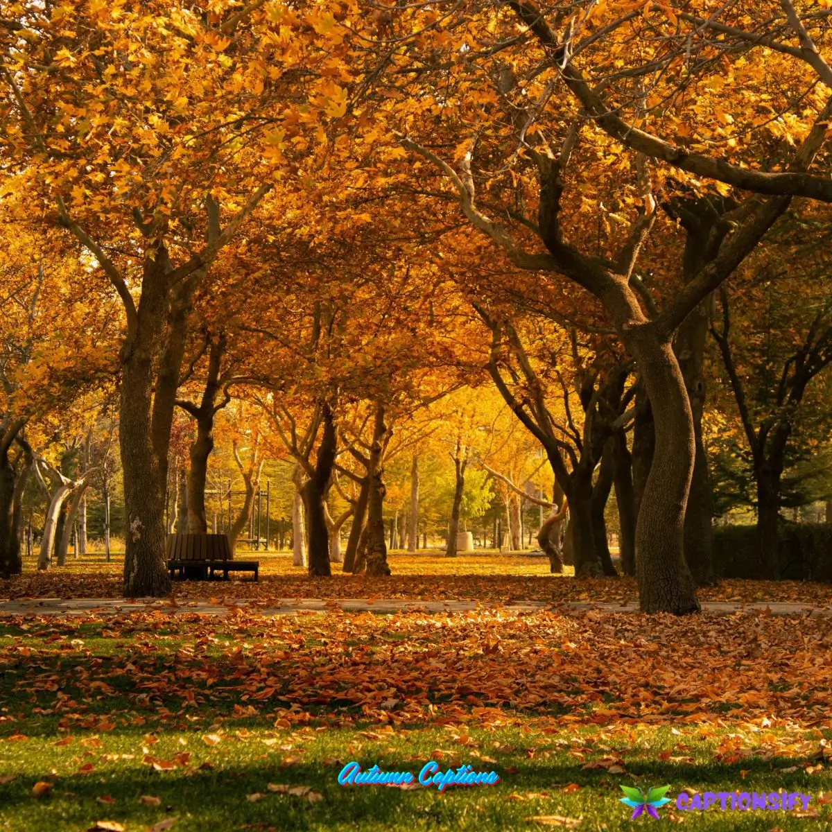 Autumn Captions