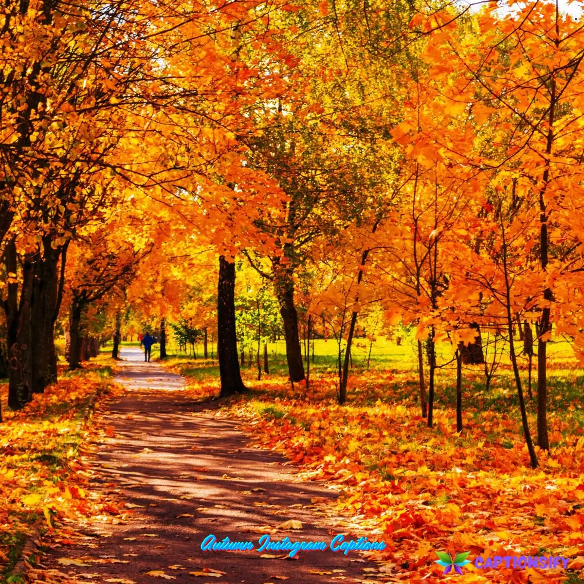 Autumn Instagram Captions