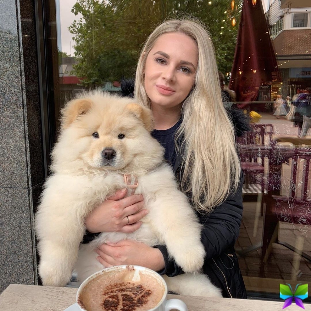200+ Dog Captions Instagram Cute That Will Make Your Pup Shine Bright 3 Dog Captions Instagram Cute