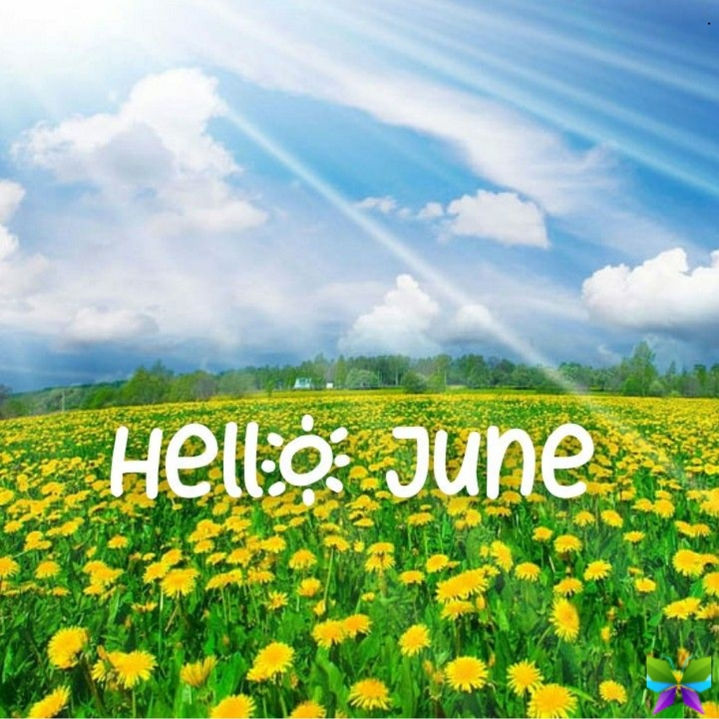 200+ June Dump Captions to Brighten Your Summer Vibes and Memories 1 June Dump Captions