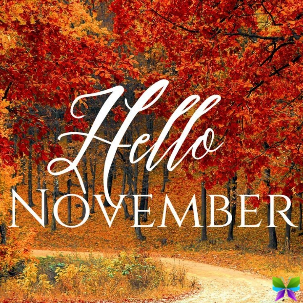 November Captions November Captions