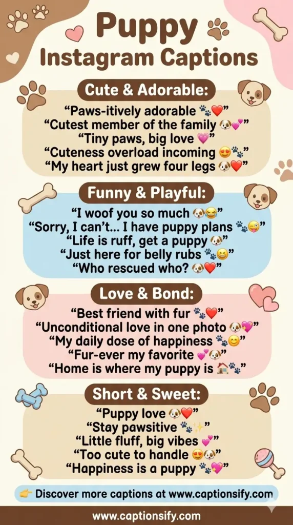 Short Puppy Captions for Instagram