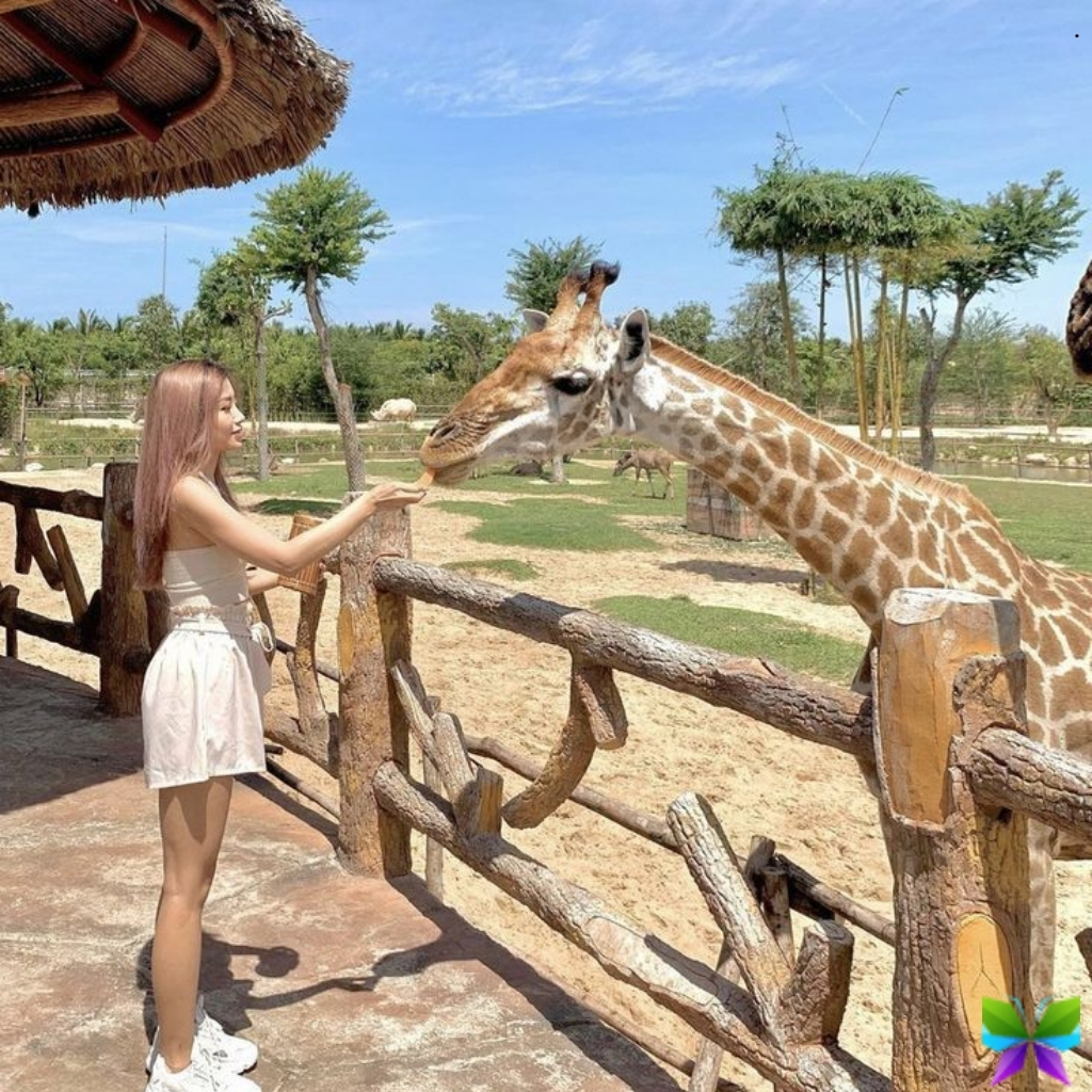 200+ Zoo Captions For Instagram to Capture Your Wildest Moments and Memories 13 Zoo Captions For Instagram